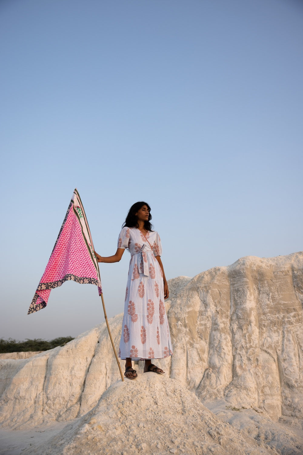 Final Sale: Emily Dress in Poppy Stamp & Thin Stripes