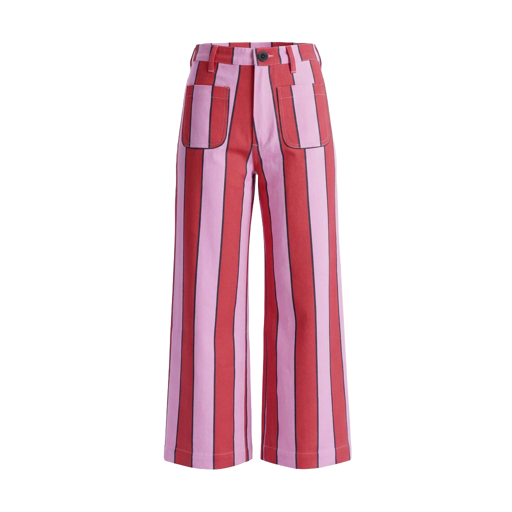 Painter Pant in Jai Stripe