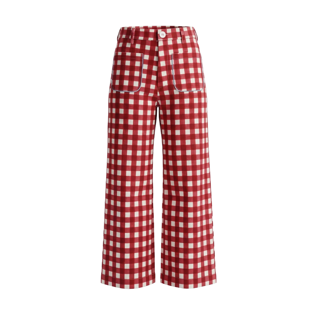 Painter Pant in Gingham, American Beauty