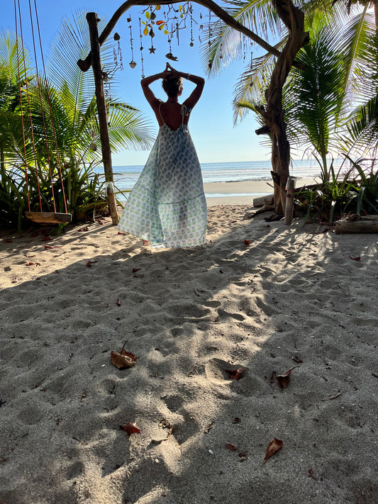 Alexandra Dress in Fleur Print